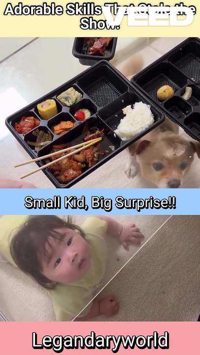The Sweetest talent ever | Adorable skills | cute moments | incredible talent #cutemoments #cutekids #adorable #animallover