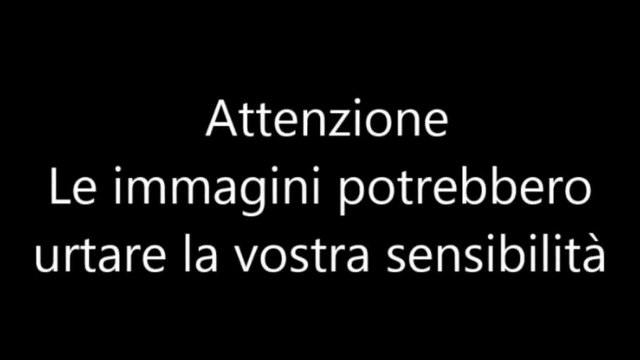 https://s2.dmcdn.net/v/bpeXw1gE35u5ZWjoP/x360