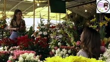 Telenovela Rosalinda Cap 3
