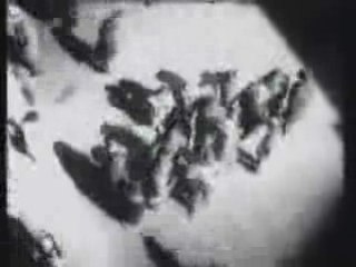Gotan Project, Luis Buñuel e Jean Cocteau2