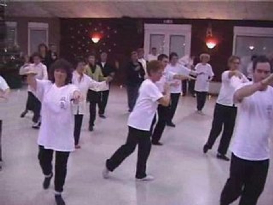Tai Ji Quan 1ère partie style Yang à Altorf (67)