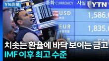 외환위기 이후 최고 수준...역대급 환율에 커지는 금융시장 경고음 [굿모닝경제] / YTN