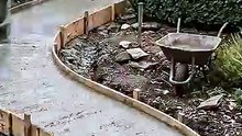DIY Stunning Iris Garden Path! 🌸 Decorative Concrete Walkway #gardenhacks #gardendiy