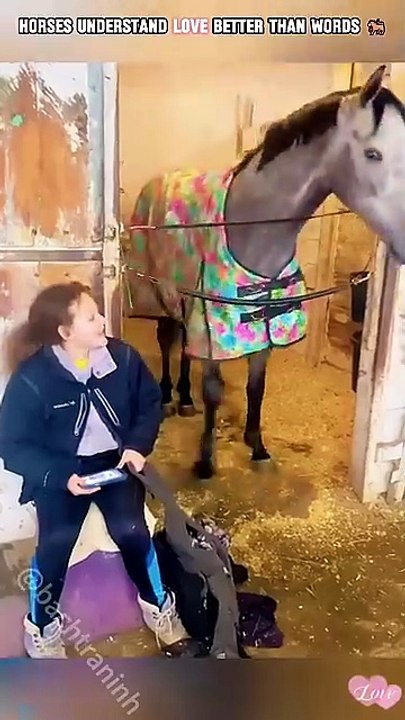 Some Bonds Need No Language🐎❤️#Horse#Friendship#Animals#Wholesome#Love#Respect
