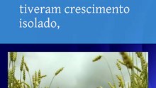 Vídeo - Agroindústria registra crescimento de 1,8% em abril no país