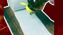 5 Cara Mudah Membedakan Madu Asli dan Madu Palsu