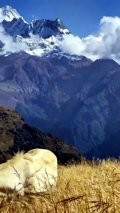 Nepal mountain view