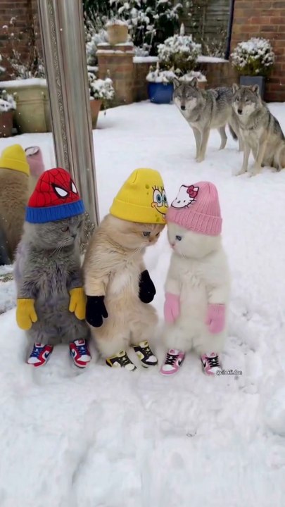 #baby #cats #digitalart #dance... Viral Short Video | Trending Entertainment Clip | Echo Entertainment