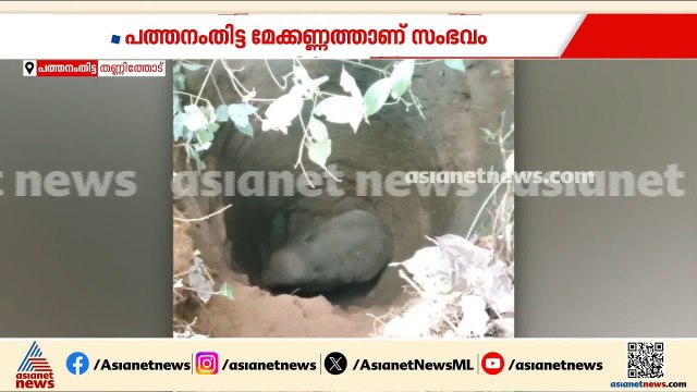 പത്തനംതിട്ടയിൽ കുട്ടി കാട്ടാന കിണറ്റിൽ വീണു; ആനയെ പുറത്തെത്തിക്കാൻ ശ്രമം തുടരുന്നു