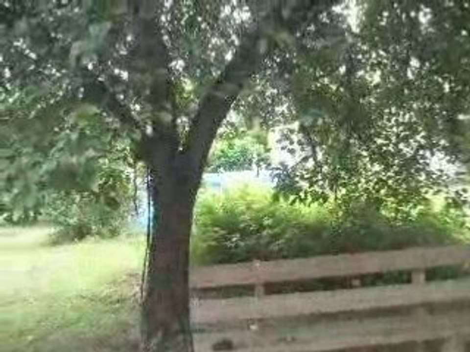 P6230091