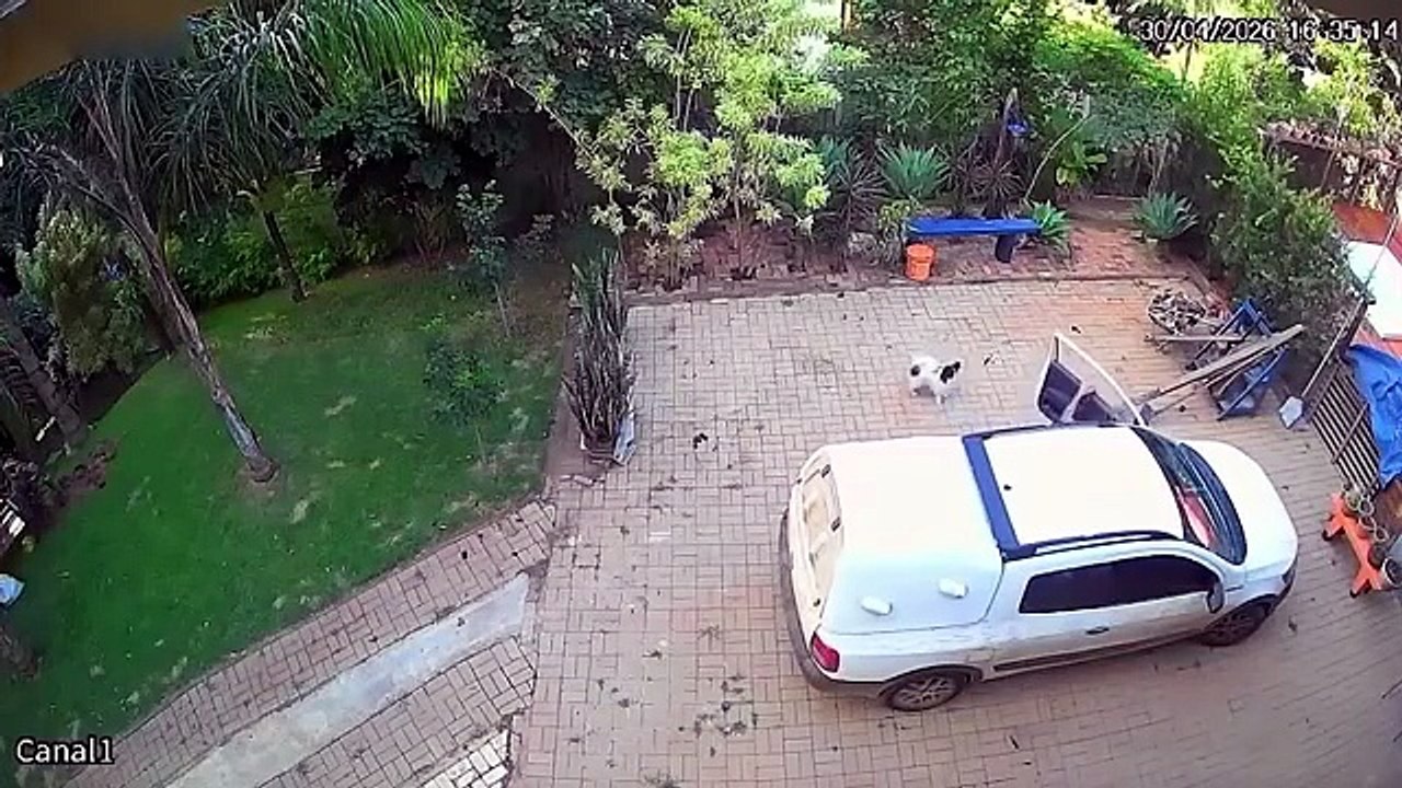 Les ratés les plus drôles des caméras de sécurité (Funniest Security Camera Fails)