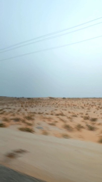 Desert Voyage