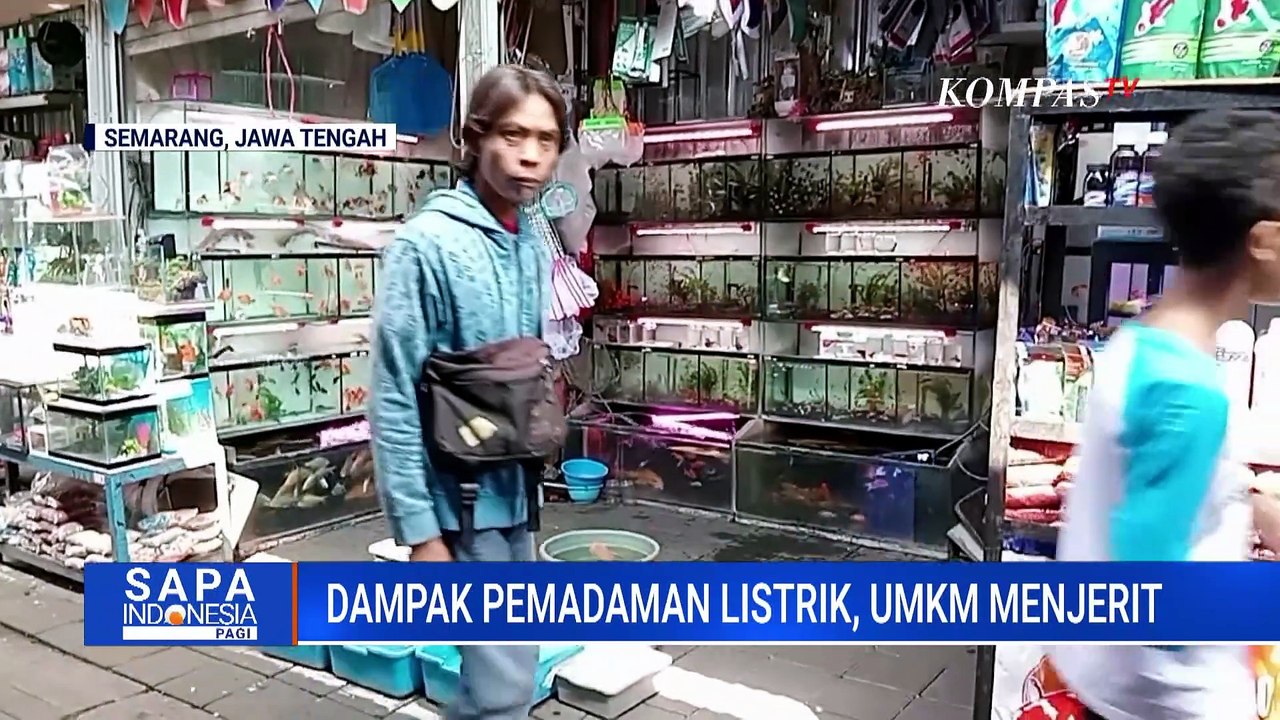 Penjual Ikan Hias Hingga Pengusaha Penatu Alami Dampak Dari Pemadaman Listrik | SAPA PAGI