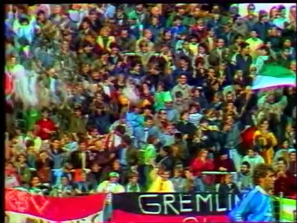 CHAMPIONNAT D'ALLEMAGNE - 1986 - SAISON 1986/1987 -