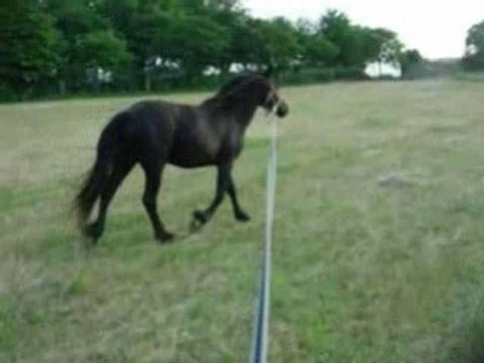 Longe_tano_sacoches 008