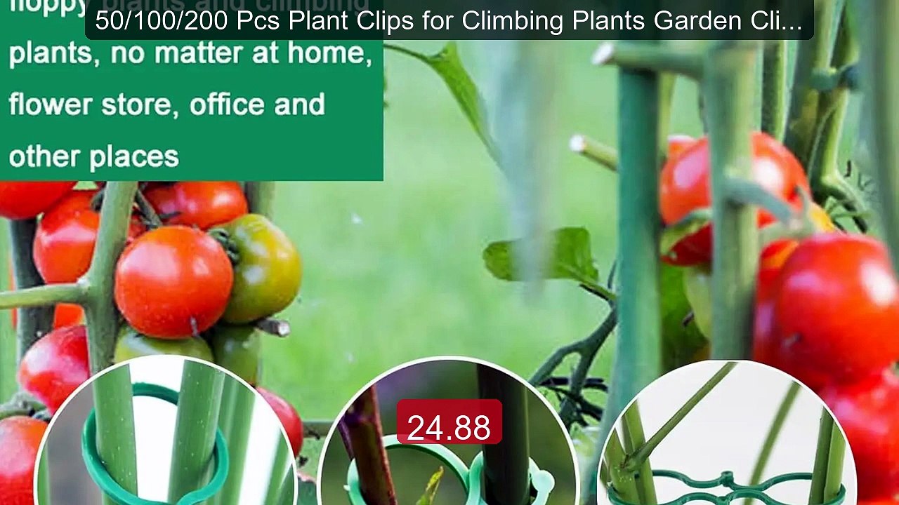 50/100/200 Pcs Plant Clips for Climbing Plants Garden Clips P... -- Amazing Value 2026 | Must Have!