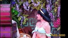 Aladdin and Jasmine Story Tale Adventures--Disneyland History--TMS-600