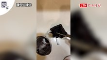 獨家》嚇死！男喝完果汁壓扁包裝驚覺有硬物 剪開一看一坨黑黑的
