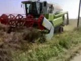 Our Claas Medion 340 is harvesting the rapes Part 4