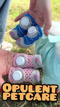 Tiny Paws, Big Protection 🐾 Dog Shoes for Small Dogs — Breathable, Adjustable