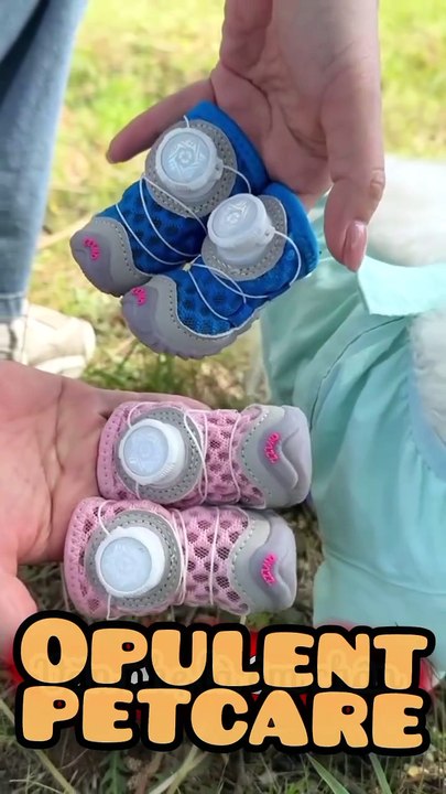 Tiny Paws, Big Protection 🐾 Dog Shoes for Small Dogs — Breathable, Adjustable