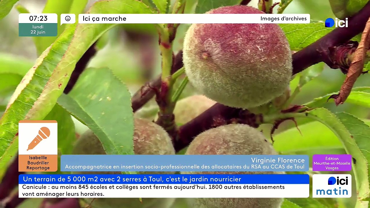 22/06/2026 -  ici matin par Ici Lorraine (Meurthe-et-Moselle et Vosges) en vidéo