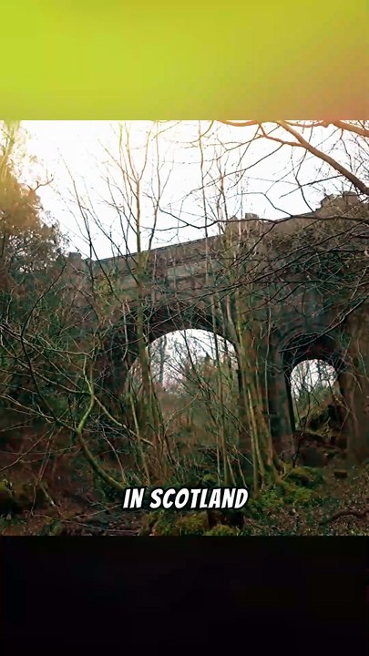 The Bridge That Made Dogs Jump