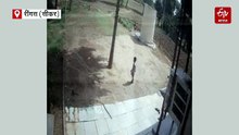 रींगस में आवारा श्वानों का आतंक: बच्चे पर हमला, बचाने आए दो लोगों को काटा, CCTV में कैद घटना