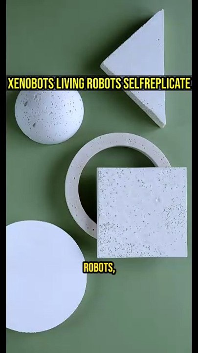 Xenobots: Living Robots Self-Replicate! 🐸