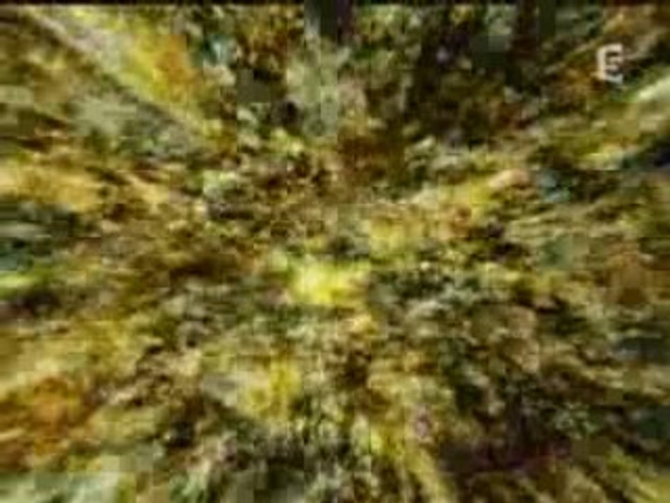 La Naissance de l'Univers 1/3