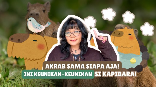 Fakta-Fakta Menarik Kapibara, Hewan Santai yang Disukai Banyak Orang-Serius Ini Hewan?