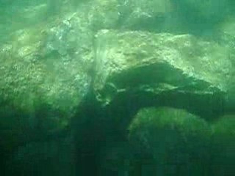 Balade sous marine