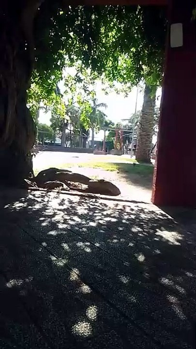 Buscando la paz que no encuentro en mi cabeza