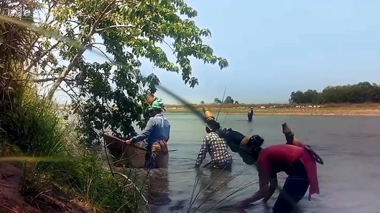 Tiger Island S1E2