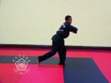 Goh Geup Hyung - Intermediate / Advanced Form