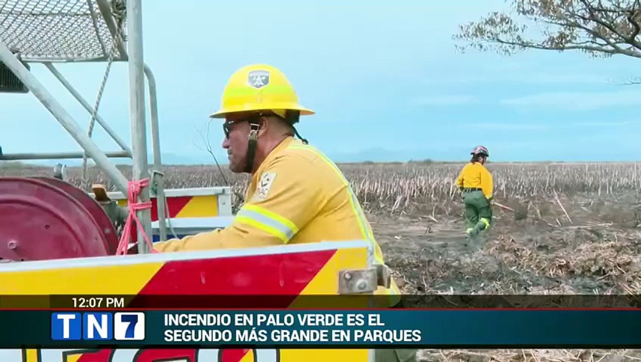tn7-incendio-en-palo-verde-el-segundo-mas-grande-en-parques-nacionales-030626 [Full Movie]
