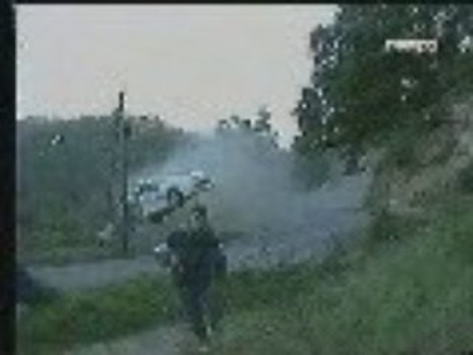 Peugeot 206 WRC panizzi crash