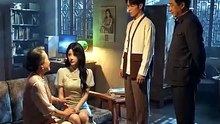 The Secret in the Cattery - Full Series - Short Drama English