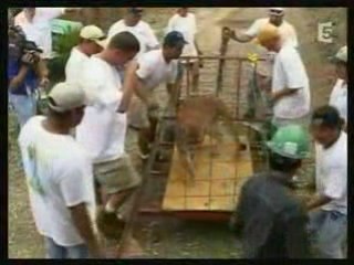 ouragans face au danger  9sur9