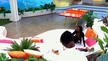 Love Island (US) - S 8 EP 13