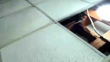 #funny #funnyclips #memes #helpmemakethismakesense #funnyvideos