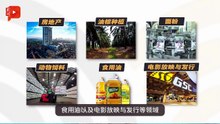 首富家族第三代接班  PPB集团前景如何？