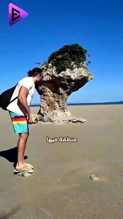 البلاديوم | الرمال المتحركة أشبه بالفخ 😱 #elpladum #elpladum #facts #معلومات #اكسبلور #ترند #قصص