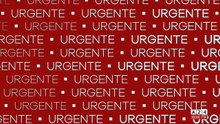 Denunció que un directivo de un prestigioso colegio la agredió en un bar de Buenos Aires: "Me agarró..."