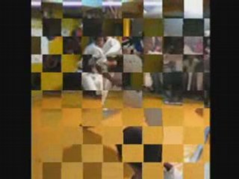 Exame de faixa - parte 1