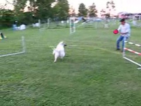 Premier saut 26 pouces!