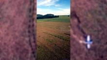 Avião de pequeno porte cai em área rural de Marialva e piloto é socorrido