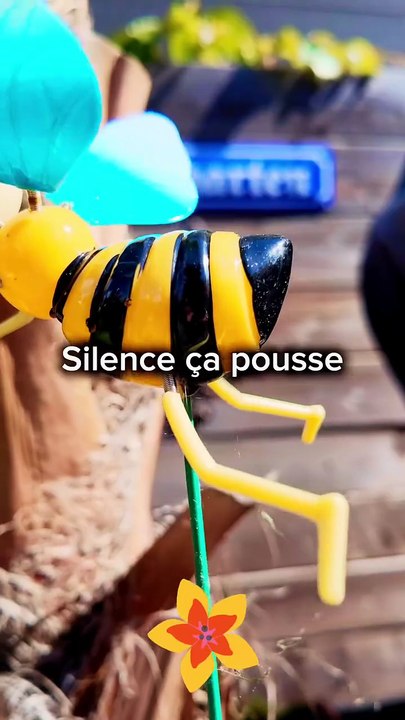 16 Mai 2026 🔥 Journée internationale du vivre-ensemble en paix. #paix #nature #amitié #Mai #Po.mp4