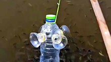 Talent