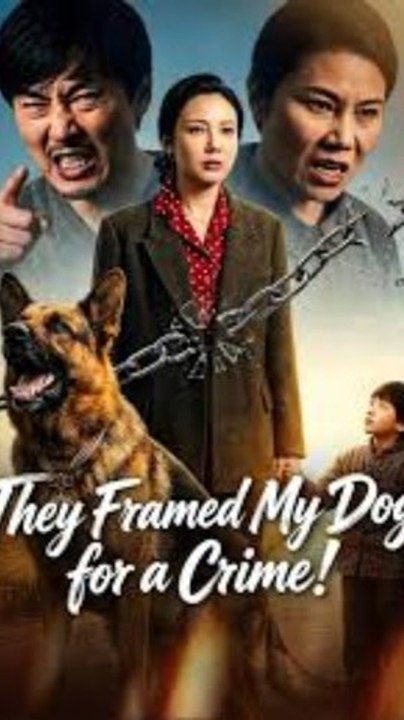 They Framed My Dog for a Crime! - Ultimate Revenge Story | Full Drama